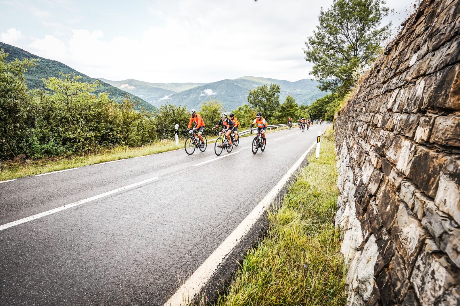 Términos y condiciones