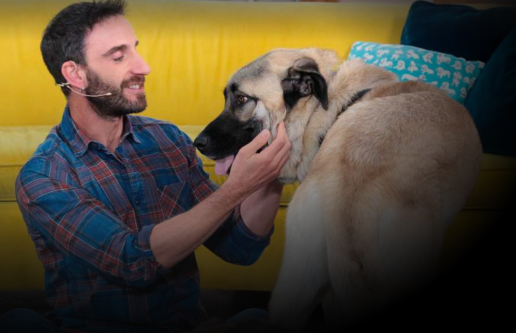Dani Rovira estrena ‘Un día de perros’